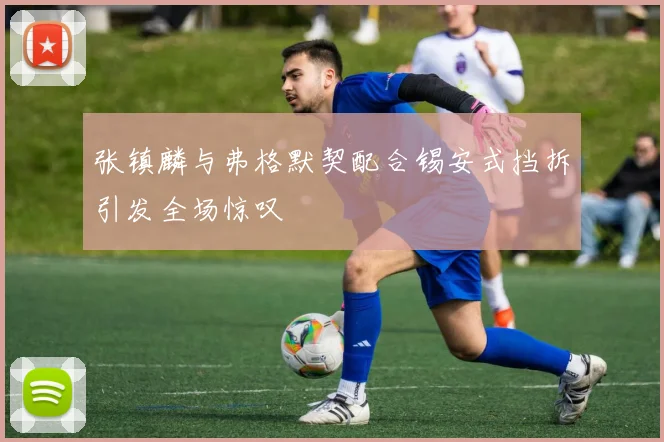 张镇麟与弗格默契配合锡安式挡拆引发全场惊叹