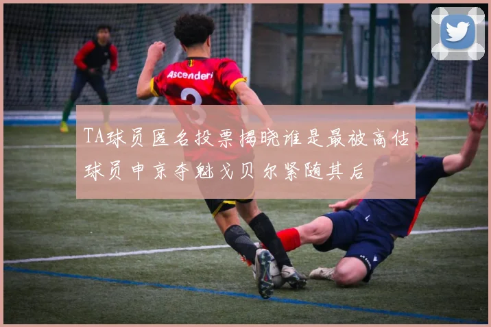 TA球员匿名投票揭晓谁是最被高估球员申京夺魁戈贝尔紧随其后